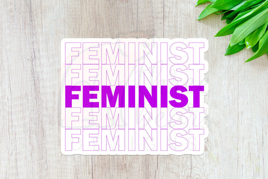 Feminist Sticker — INDOOR USE ONLY