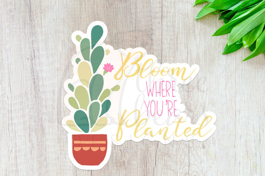 Bloom Where You're Planted Sticker — INDOOR USE ONLY